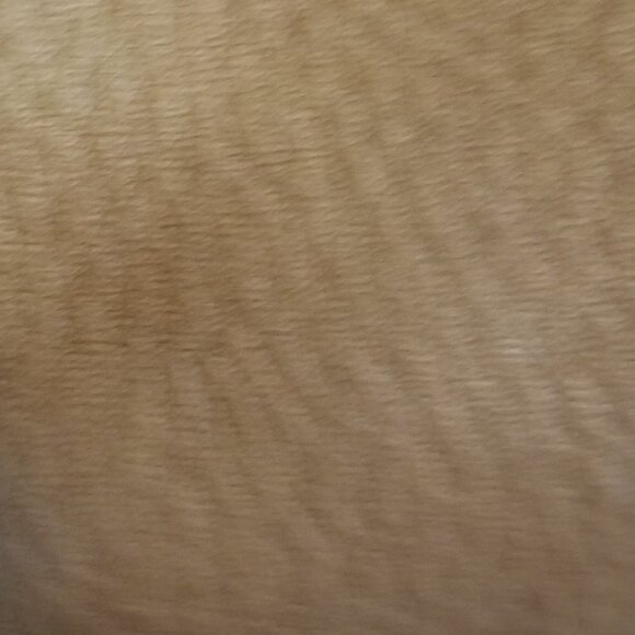 Fossil Women's Carmel Pebble Leather Boho Y2K Western Tan Purse - Picture 10 of 13